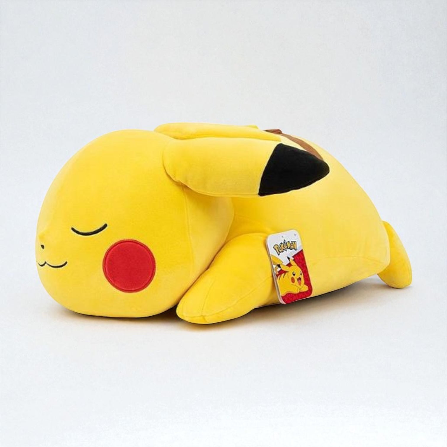 Pokémon Bangsi - Sleeping Pikachu